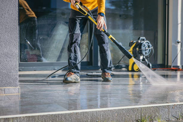 Best Roof Pressure Washing  in Melvindale, MI